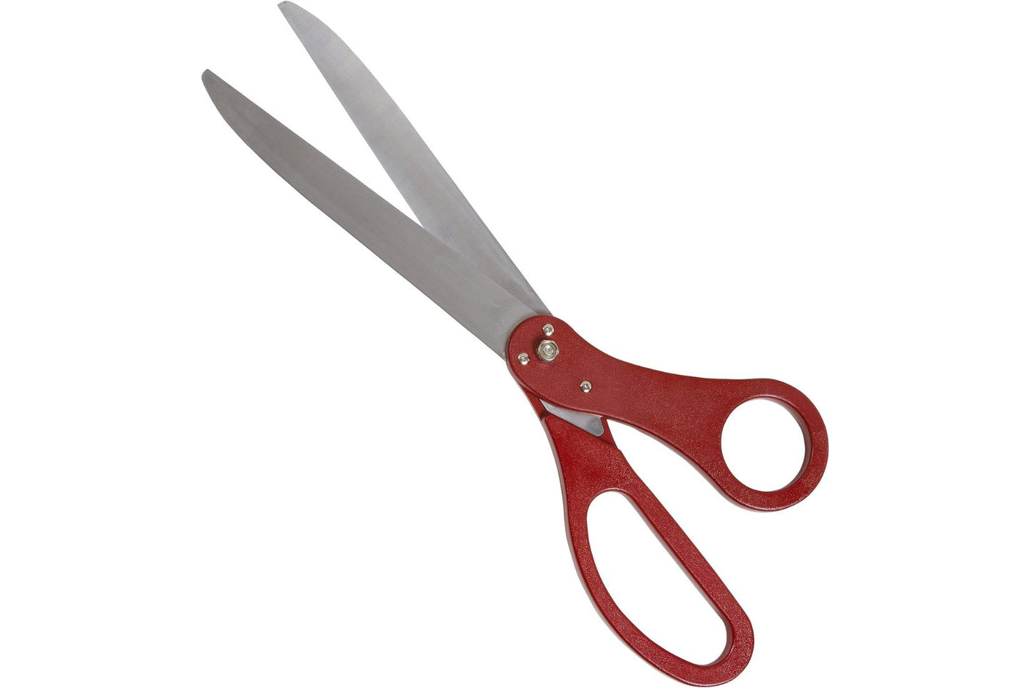 Super sized maroon ribbon cutting scissors